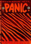 Panic7.jpg (58128 bytes)